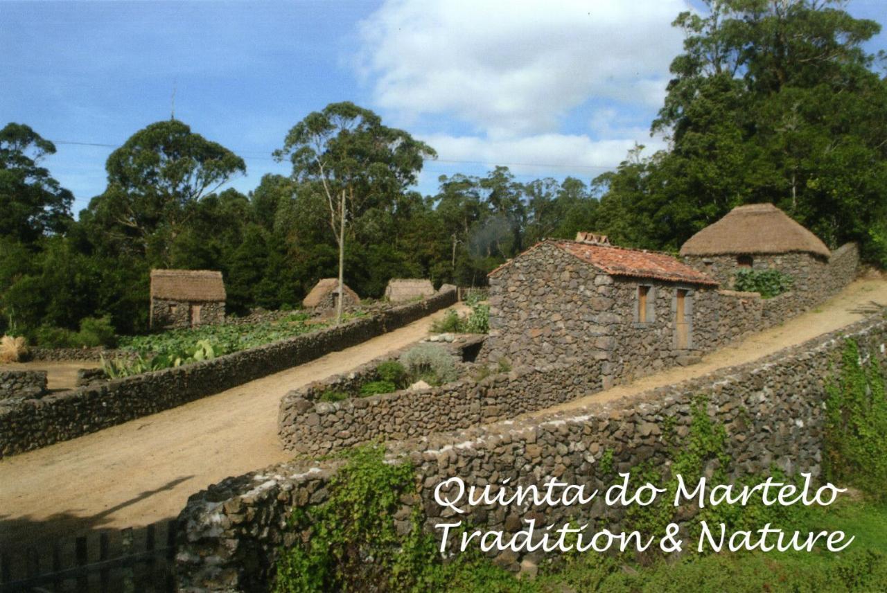 ホテル Quinta Do Martelo アングラ・ド・エロイーズモ エクステリア 写真