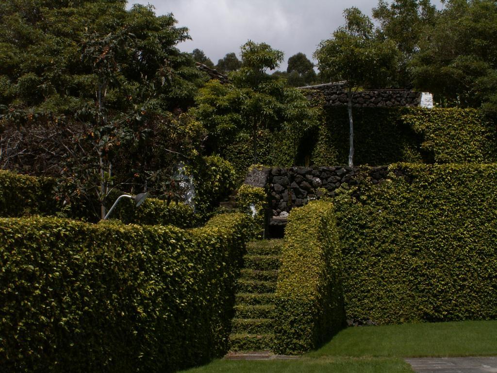 ホテル Quinta Do Martelo アングラ・ド・エロイーズモ エクステリア 写真
