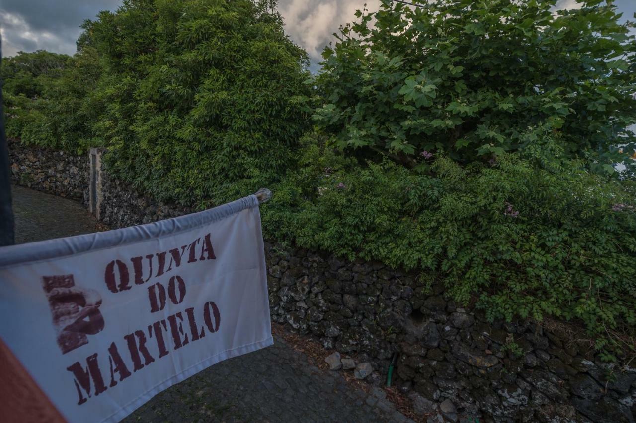 ホテル Quinta Do Martelo アングラ・ド・エロイーズモ エクステリア 写真